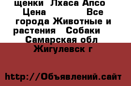 щенки  Лхаса Апсо › Цена ­ 20 000 - Все города Животные и растения » Собаки   . Самарская обл.,Жигулевск г.